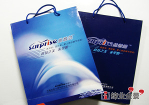 丝普兰企业品牌形象VI设计执行-无锡企业标志设计制作